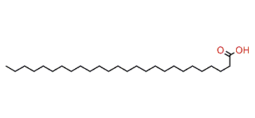 Hexacosanoic acid